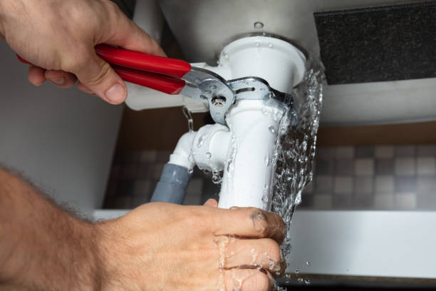 Best Basement water damage restoration  in Whitefish, MT