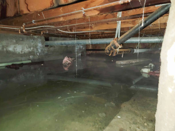 Best Water damage restoration insurance claims  in Whitefish, MT