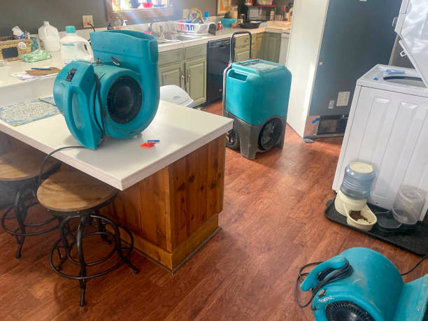 Best Water damage restoration near me  in Whitefish, MT