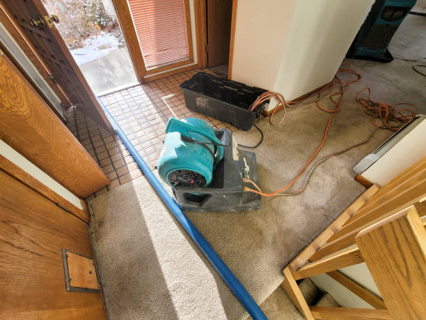 Best 24/7 water damage repair  in Whitefish, MT