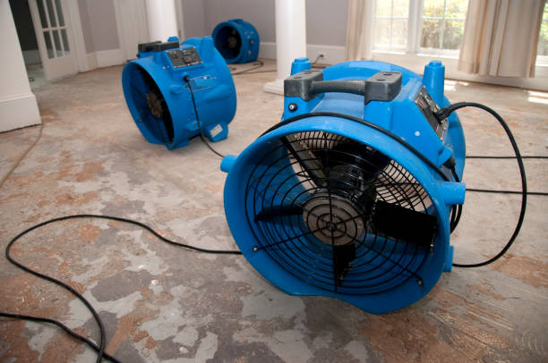 Best Water damage repair service  in Whitefish, MT