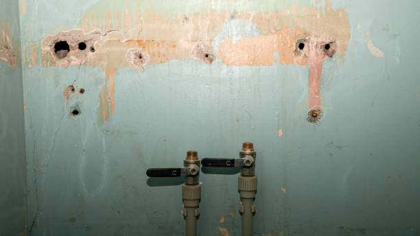 Best Fire Damage Restoration  in Whitefish, MT