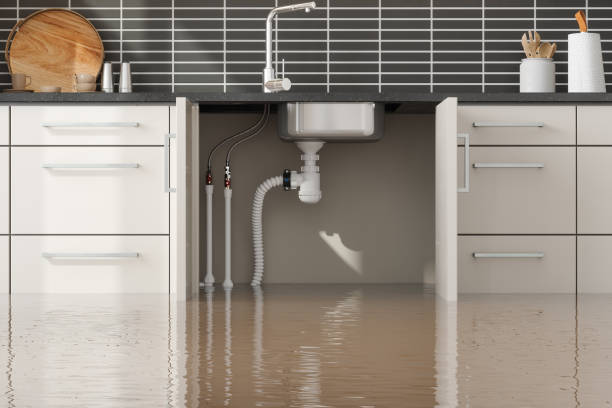 Best Commercial water damage restoration  in Whitefish, MT