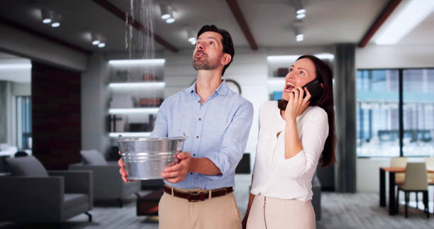 Best Water damage restoration insurance claims  in Whitefish, MT