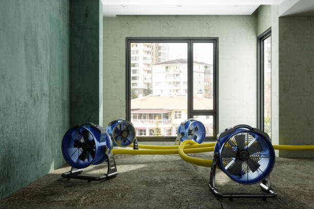 Professional Water damage restoration in Whitefish, MT
